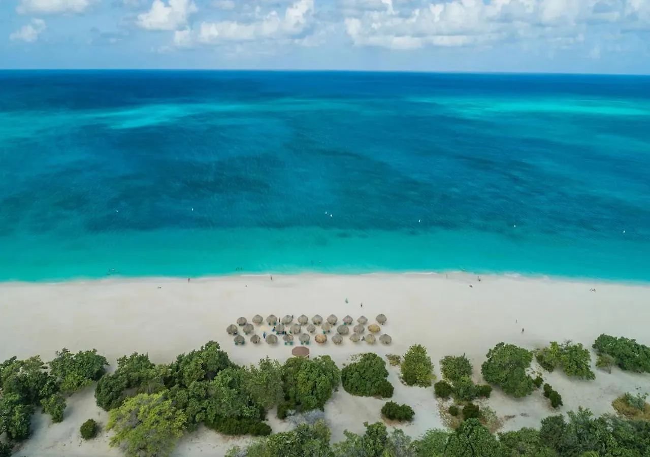 Apartamento Only 350 Yards From Eagle Beach! Palm Beach