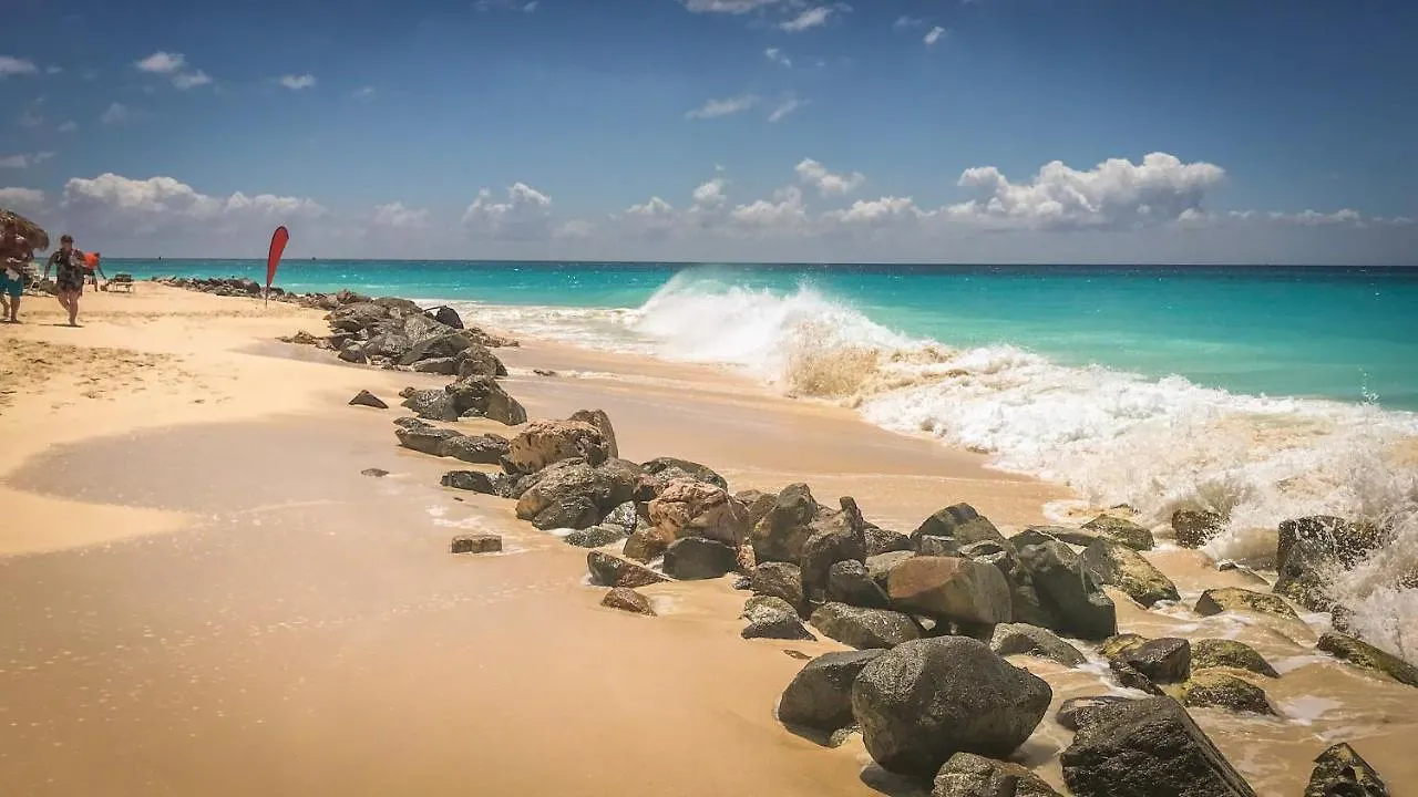 Only 350 Yards From Eagle Beach! Palm Beach 0*,  Aruba