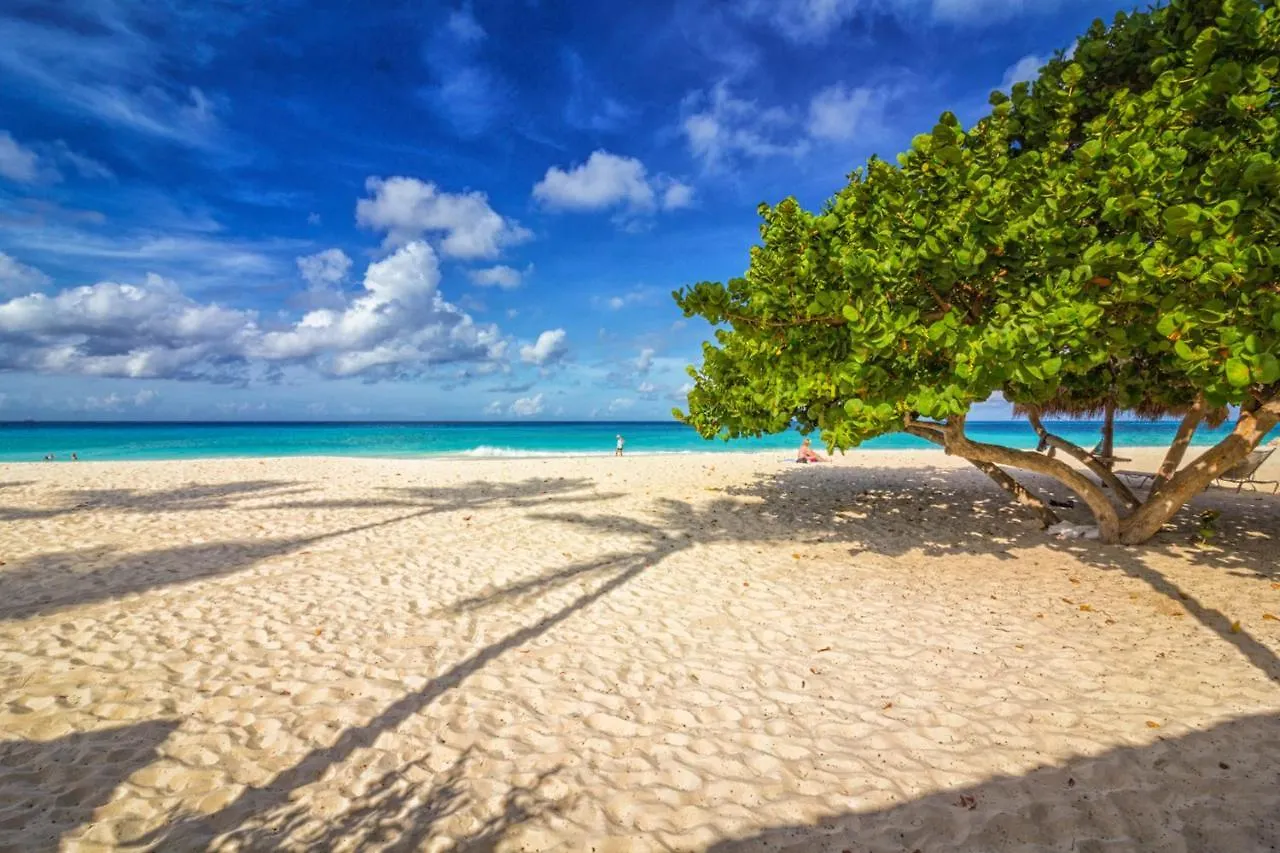 Apartamento Only 350 Yards From Eagle Beach! Palm Beach